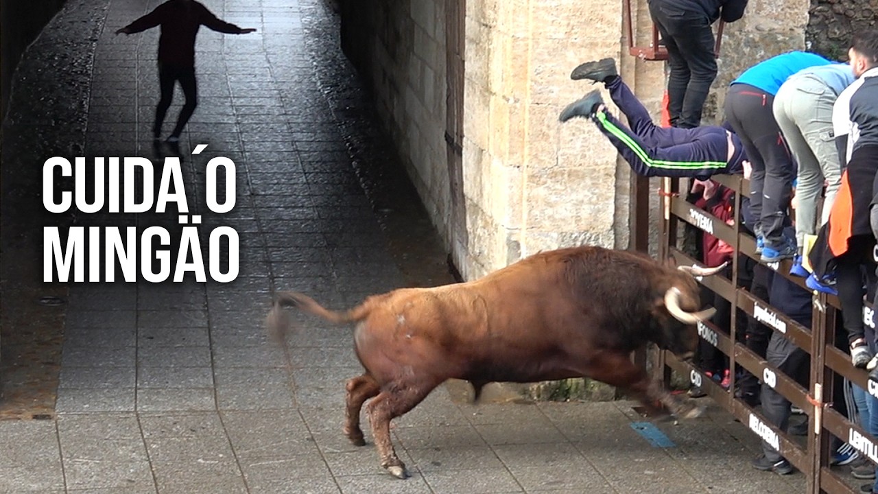 Ciudad Rodrigo Carnaval 2026 Toro del Aguardiente